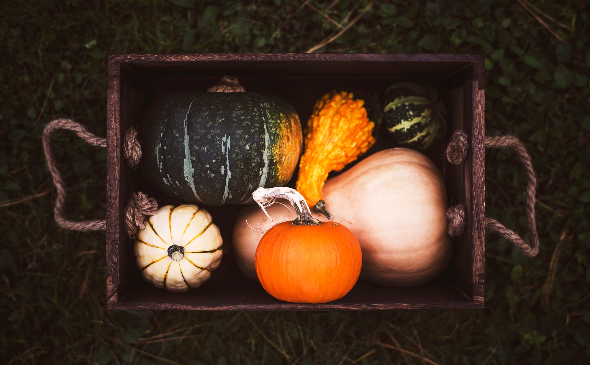 Box full of fall vegetables